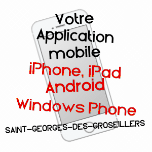 application mobile à SAINT-GEORGES-DES-GROSEILLERS / ORNE