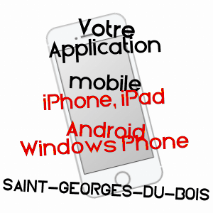 application mobile à SAINT-GEORGES-DU-BOIS / SARTHE
