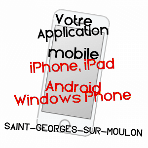 application mobile à SAINT-GEORGES-SUR-MOULON / CHER