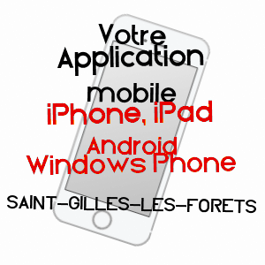 application mobile à SAINT-GILLES-LES-FORêTS / HAUTE-VIENNE