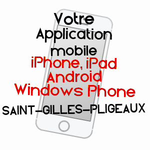 application mobile à SAINT-GILLES-PLIGEAUX / CôTES-D'ARMOR