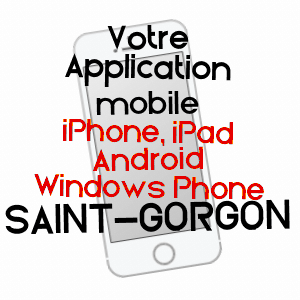 application mobile à SAINT-GORGON / VOSGES