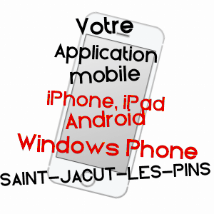 application mobile à SAINT-JACUT-LES-PINS / MORBIHAN