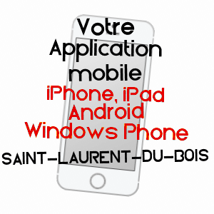 application mobile à SAINT-LAURENT-DU-BOIS / GIRONDE