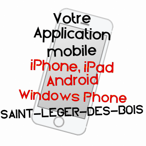 application mobile à SAINT-LéGER-DES-BOIS / MAINE-ET-LOIRE