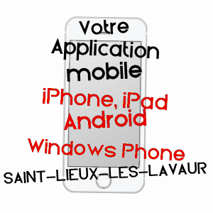 application mobile à SAINT-LIEUX-LèS-LAVAUR / TARN