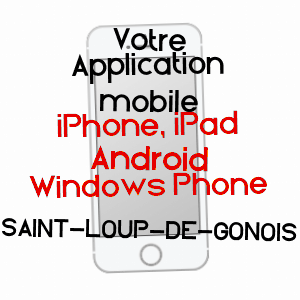 application mobile à SAINT-LOUP-DE-GONOIS / LOIRET
