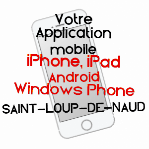 application mobile à SAINT-LOUP-DE-NAUD / SEINE-ET-MARNE