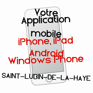 application mobile à SAINT-LUBIN-DE-LA-HAYE / EURE-ET-LOIR