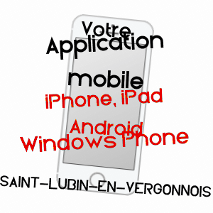 application mobile à SAINT-LUBIN-EN-VERGONNOIS / LOIR-ET-CHER
