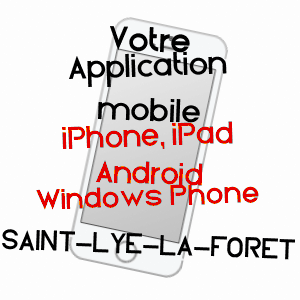 application mobile à SAINT-LYé-LA-FORêT / LOIRET