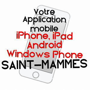 application mobile à SAINT-MAMMèS / SEINE-ET-MARNE