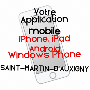 application mobile à SAINT-MARTIN-D'AUXIGNY / CHER