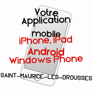 application mobile à SAINT-MAURICE-LES-BROUSSES / HAUTE-VIENNE
