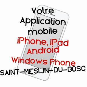 application mobile à SAINT-MESLIN-DU-BOSC / EURE