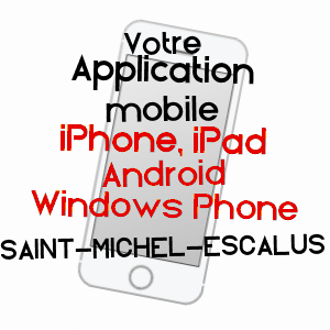 application mobile à SAINT-MICHEL-ESCALUS / LANDES