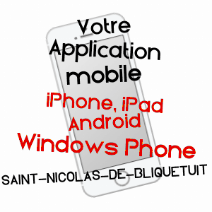 application mobile à SAINT-NICOLAS-DE-BLIQUETUIT / SEINE-MARITIME