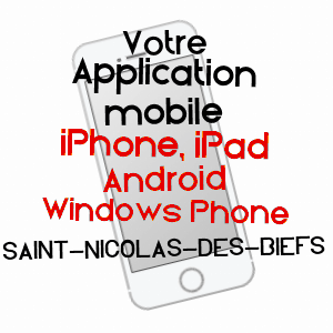 application mobile à SAINT-NICOLAS-DES-BIEFS / ALLIER