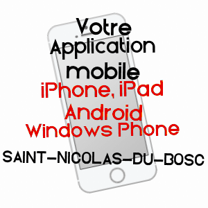 application mobile à SAINT-NICOLAS-DU-BOSC / EURE