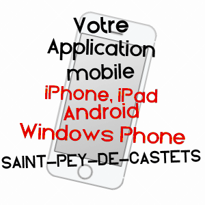 application mobile à SAINT-PEY-DE-CASTETS / GIRONDE