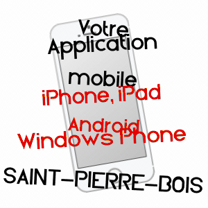 application mobile à SAINT-PIERRE-BOIS / BAS-RHIN