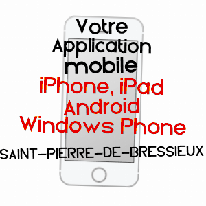application mobile à SAINT-PIERRE-DE-BRESSIEUX / ISèRE