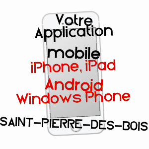 application mobile à SAINT-PIERRE-DES-BOIS / SARTHE