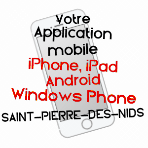 application mobile à SAINT-PIERRE-DES-NIDS / MAYENNE