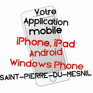 application mobile à SAINT-PIERRE-DU-MESNIL / EURE