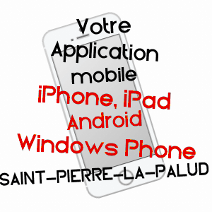 application mobile à SAINT-PIERRE-LA-PALUD / RHôNE