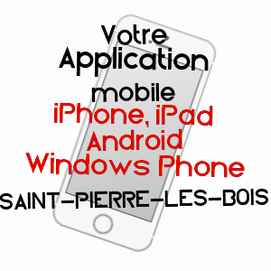 application mobile à SAINT-PIERRE-LES-BOIS / CHER