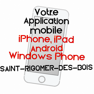application mobile à SAINT-RIGOMER-DES-BOIS / SARTHE