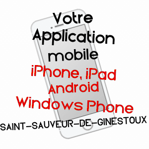 application mobile à SAINT-SAUVEUR-DE-GINESTOUX / LOZèRE