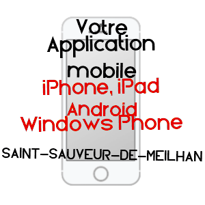 application mobile à SAINT-SAUVEUR-DE-MEILHAN / LOT-ET-GARONNE