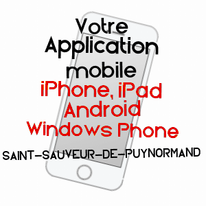 application mobile à SAINT-SAUVEUR-DE-PUYNORMAND / GIRONDE