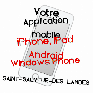 application mobile à SAINT-SAUVEUR-DES-LANDES / ILLE-ET-VILAINE