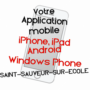 application mobile à SAINT-SAUVEUR-SUR-ECOLE / SEINE-ET-MARNE