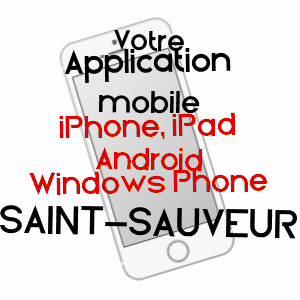 application mobile à SAINT-SAUVEUR / VIENNE