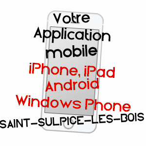 application mobile à SAINT-SULPICE-LES-BOIS / CORRèZE