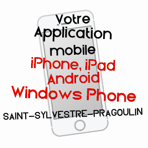 application mobile à SAINT-SYLVESTRE-PRAGOULIN / PUY-DE-DôME