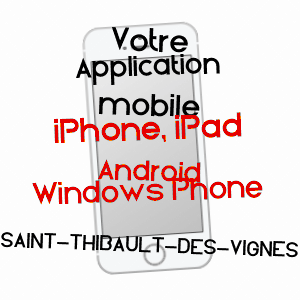 application mobile à SAINT-THIBAULT-DES-VIGNES / SEINE-ET-MARNE