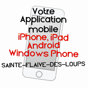 application mobile à SAINTE-FLAIVE-DES-LOUPS / VENDéE