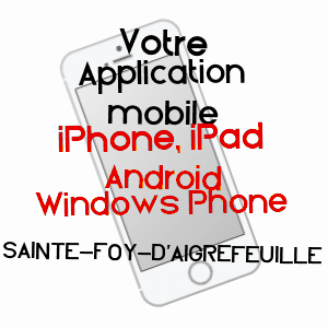 application mobile à SAINTE-FOY-D'AIGREFEUILLE / HAUTE-GARONNE