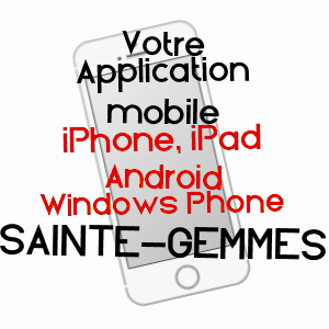 application mobile à SAINTE-GEMMES / LOIR-ET-CHER