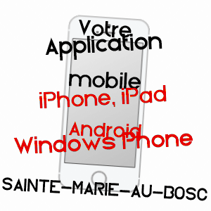 application mobile à SAINTE-MARIE-AU-BOSC / SEINE-MARITIME