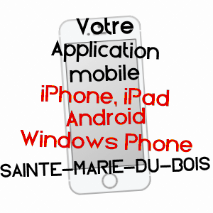application mobile à SAINTE-MARIE-DU-BOIS / MAYENNE