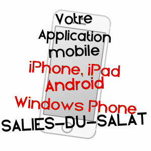 application mobile à SALIES-DU-SALAT / HAUTE-GARONNE