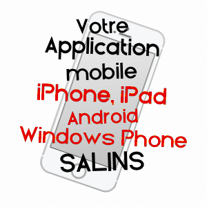 application mobile à SALINS / SEINE-ET-MARNE