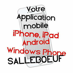 application mobile à SALLEBOEUF / GIRONDE