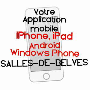 application mobile à SALLES-DE-BELVèS / DORDOGNE